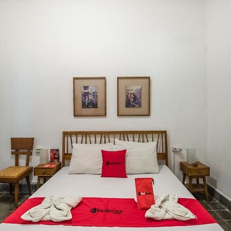 Reddoorz Hostel @ Kotagede ยอกยาการ์ตา ภายนอก รูปภาพ